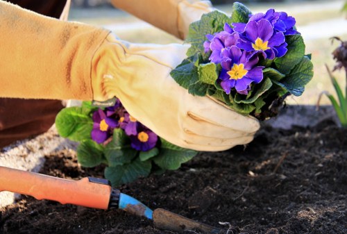 Training and PPE demonstration for gardening staff