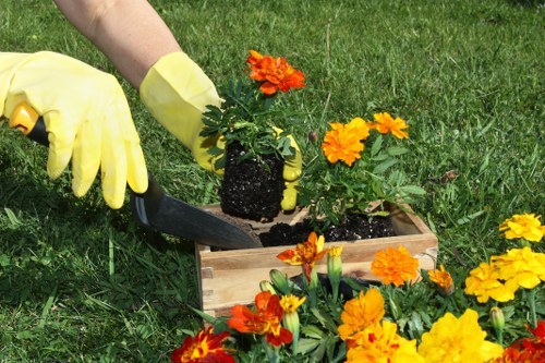 Browser cookie controls for local gardening service pages