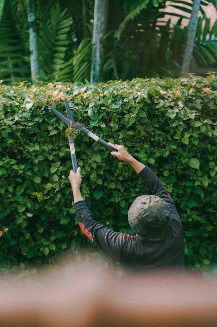 A gardener dressed in grey work trousers and sturdy tan boots is trimming dense, green hedge foliage with long-handled pruning shears. The scene shows freshly turned dark soil at the base of the hedge